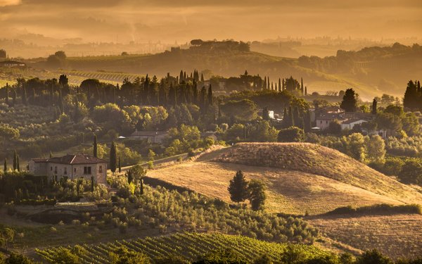 Où trouver une maison de vacances en Toscane avec des cours de cuisine et des visites de vignobles?