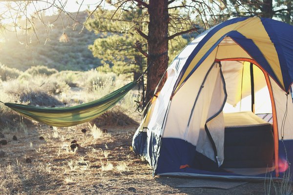 Quels sont les équipements indispensables pour un camping en région de forêt boréale en hiver?
